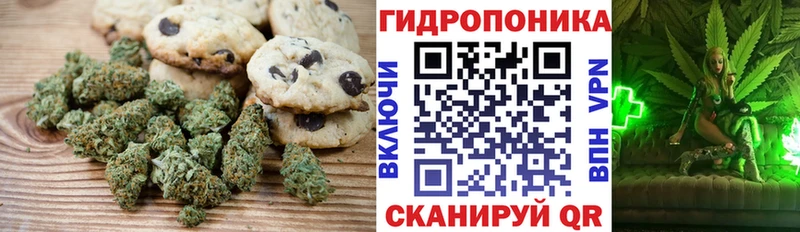 дарнет шоп  Фёдоровский  Canna-Cookies конопля 