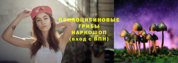 мяу мяу кристалл Богданович