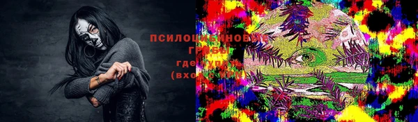 дурь Богородск